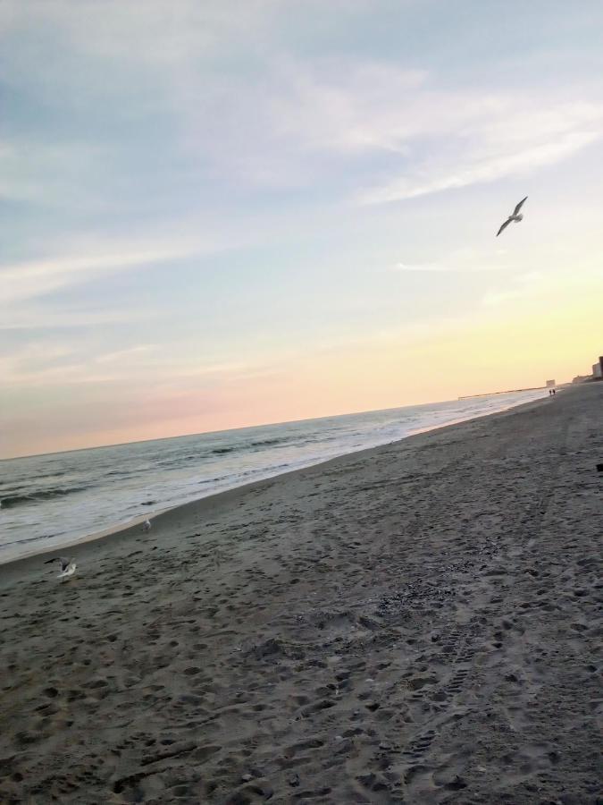 Lee'S Myrtle Beach Condo ภายนอก รูปภาพ