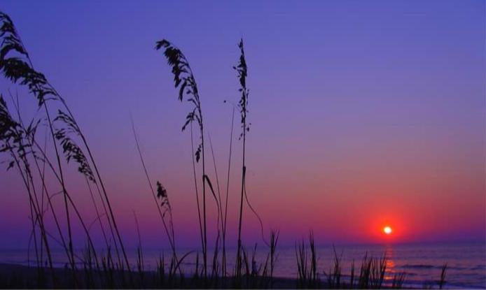 Lee'S Myrtle Beach Condo ภายนอก รูปภาพ